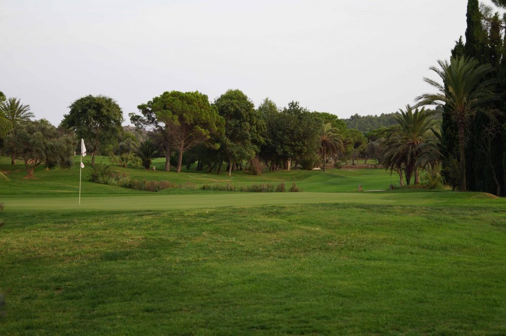 Campo-golf