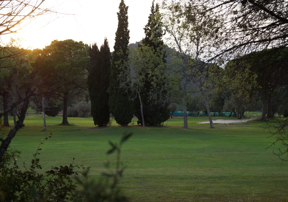 Campo de golf